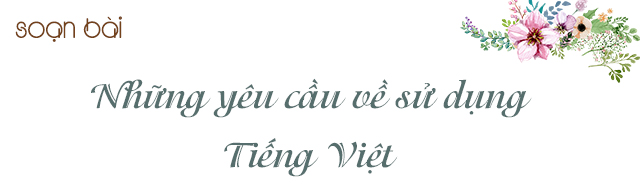 Soạn bài Những yêu cầu về sử dụng tiếng Việt