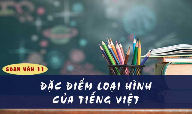 Làm thế nào để áp dụng hiểu biết về đặc điểm loại hình của tiếng Việt vào việc phân tích và viết các đoạn văn trong bài tập và kỳ thi Ngữ Văn 11?