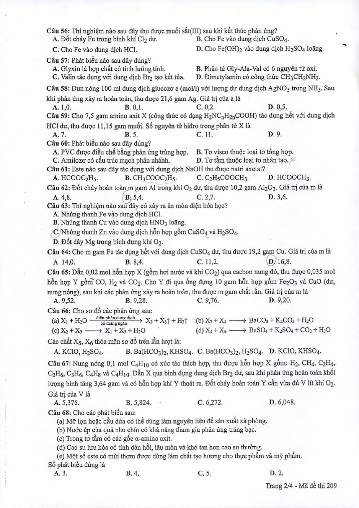 Đề thi THPT quốc gia 2019 môn Hóa mã đề 209 trang 2
