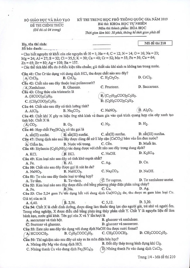 Đề thi THPT quốc gia 2019 môn Hóa mã đề 210 trang 1