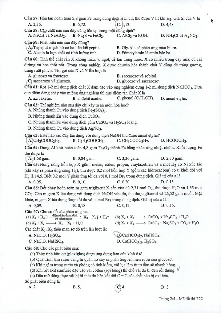 Đề thi THPT quốc gia 2019 môn Hóa mã đề 222 trang 2