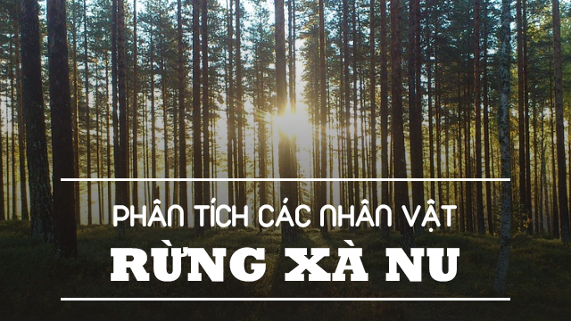 Phân tích các nhân vật trong rừng xà nu (Nguyễn Trung Thành)