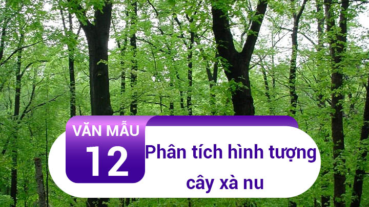 Phân Tích Hình Tượng Cây Xà Nu Trong Truyện Rừng Xà Nu | Văn Mẫu 12