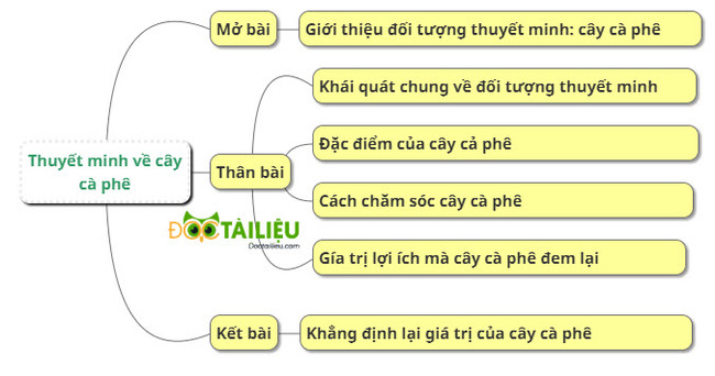 Sơ đồ tư duy những nội dung bài thuyết minh về cây cà phê