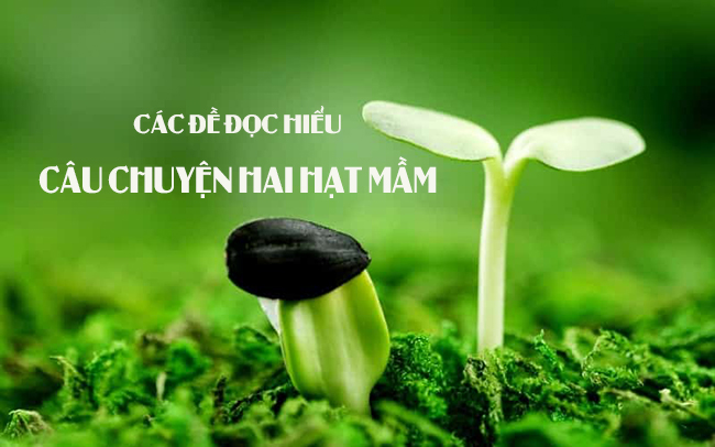 Câu chuyện Hai hạt mầm kể về những gì?
