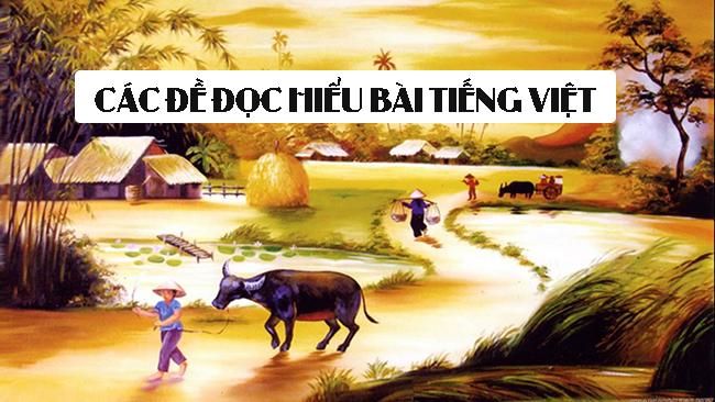 Các đề đọc hiểu bài Tiếng Việt (Lưu Quang Vũ)