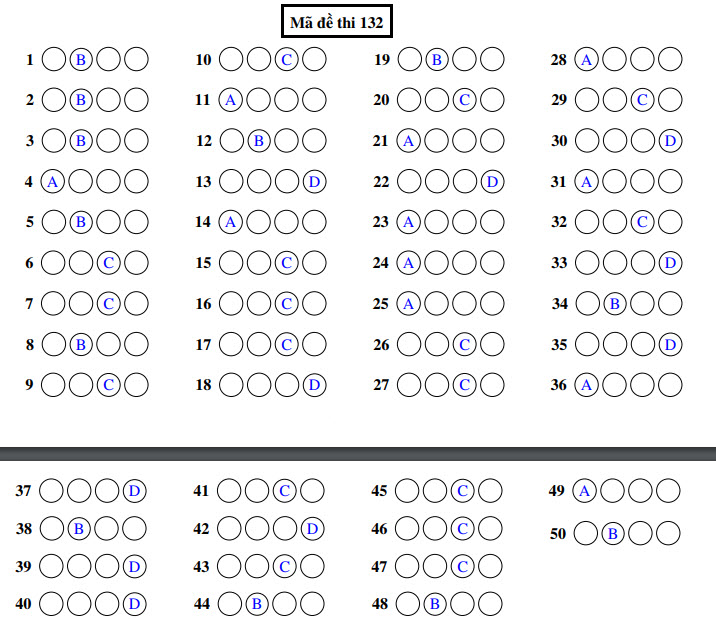 Đáp án đề thi thử THPTQG môn Toán lần 1 năm 2020 THPT Lương Thế Vinh mã 132 