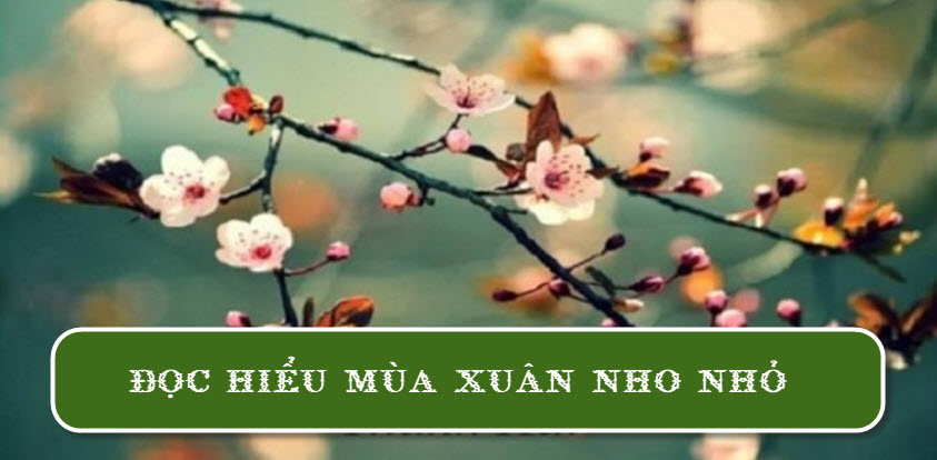 Phương thức biểu đạt chính của Mùa xuân nho nhỏ là gì?
