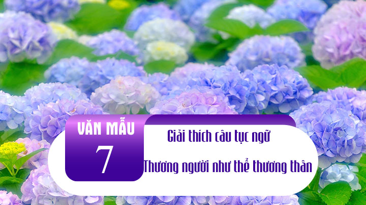 Giải thích câu tục ngữ Thương người như thể thương thân