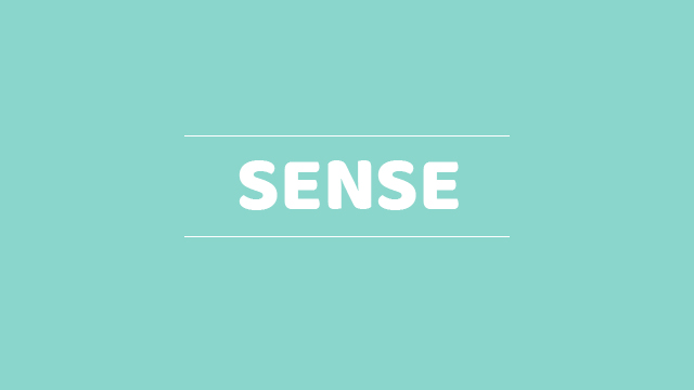 Sense là gì? Ví dụ sử dụng từ sense trong câu