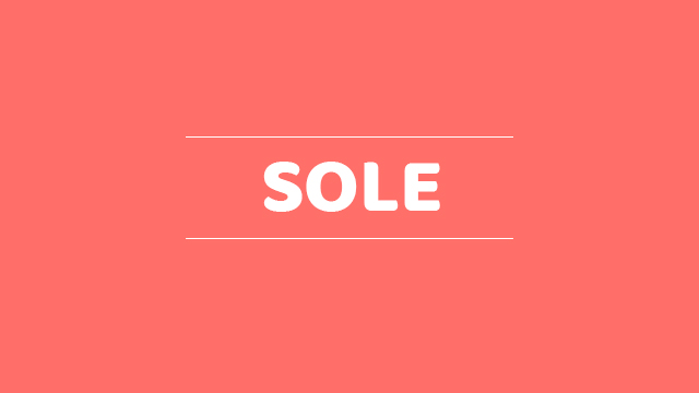Sole là gì? Ví dụ sử dụng từ sole trong câu
