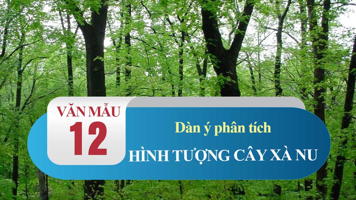 Dàn Ý Phân Tích Hình Tượng Cây Xà Nu Trong Truyện Rừng Xà Nu | Văn Mẫu 12