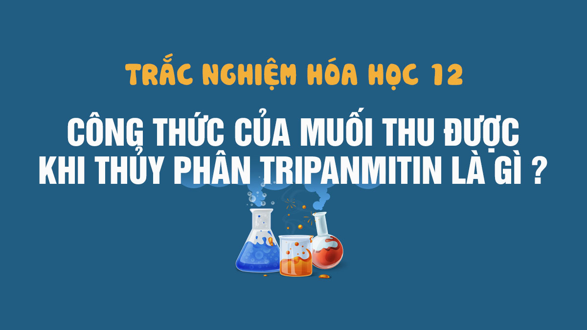 Đánh giá tác động của tripanmitin + naoh đến môi trường và sức khỏe con người