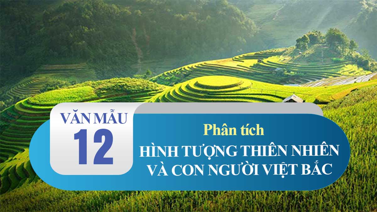 Bài Thơ Cảnh Rừng Việt Bắc Hồ Chí Minh Nội Dung Phân Tích