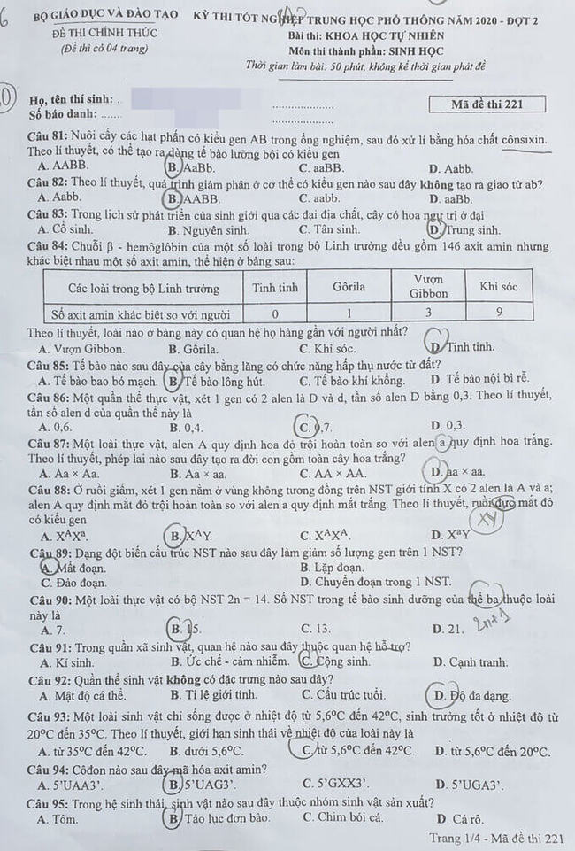 Đề thi tốt nghiệp THPT môn Sinh đợt 2 mã đề 221 trang 1