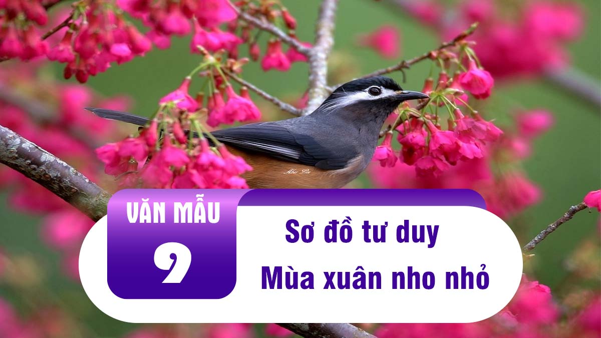 What are the detailed components of the Sơ đồ tư duy Mùa xuân nho nhỏ (Small detailed mind map of Spring)?