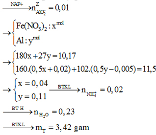 Trộn 10,17 gam hỗn hợp X gồm Fe(NO3)2 và Al với 4,64 gam FeCO3 được hỗn hợp Y. hình ảnh