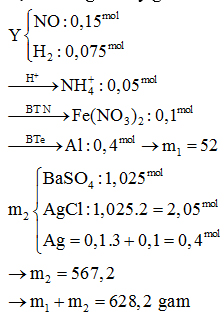 Cho m1 gam hỗn hợp X chứa Al, Fe(NO3)2 và 0,1 mol Fe3O4 tan hết trong dung dịch hình ảnh