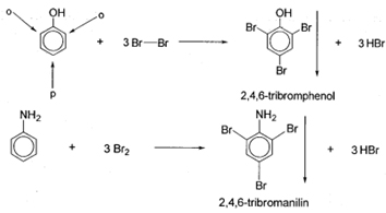 Anilin (C6H5NH2) và phenol (C6H5OH) đều có phản ứng với dung dịch A. nước brom hình ảnh