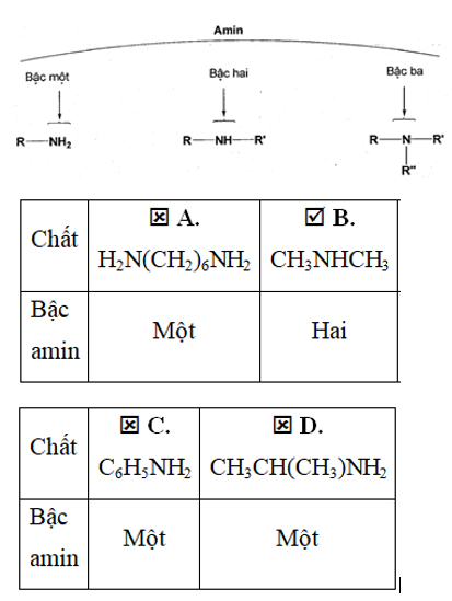 Trong các chất dưới đây, chất nào là amin bậc hai? C. B .CH _3 NHCH _3 Trắc hình ảnh