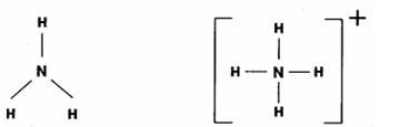 Cho các phát biểu về NH3 và NH+4NH4+ như sau:(a) Trong NH3 và NH+4NH4+, nitơ đều hình ảnh