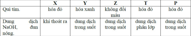 X, Y, Z, T, P là các dung dịch chứa các chất sau: axit glutamic, alanin, hình ảnh