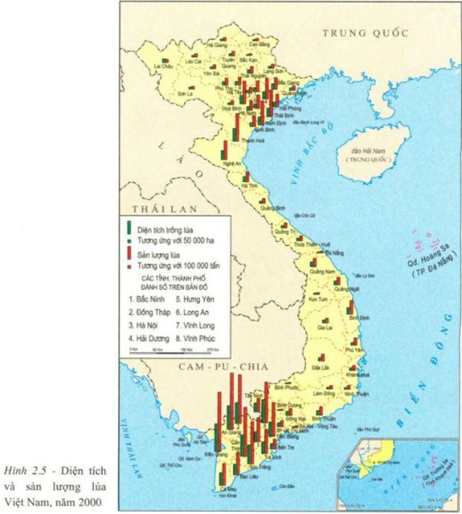 hình 2.5 diện tích và sản lượng lúa Việt Nam