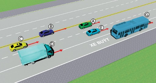 Trong hình dưới, những xe nào vi phạm quy tắc giao thông? C. Xe tải (D), xe con hình ảnh