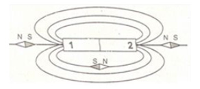 Hình ảnh định hướng của kim nam châm đặt tại các điểm xung quanh thanh nam châm hình ảnh