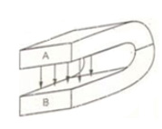 Nhìn vào đường sức từ của nam châm hình chữ U sau:Hãy cho biết các cực của nam hình ảnh