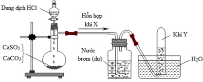 Hình vẽ sau đây mô tả thí nghiệm điều chế và thu khí Y từ hỗn hợp rắn gồm CaCO 3 hình ảnh