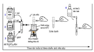 Tiến hành thí nghiệm (như hình vẽ): Cho 1 ml ancol etylic, 1 ml axit axetic hình ảnh