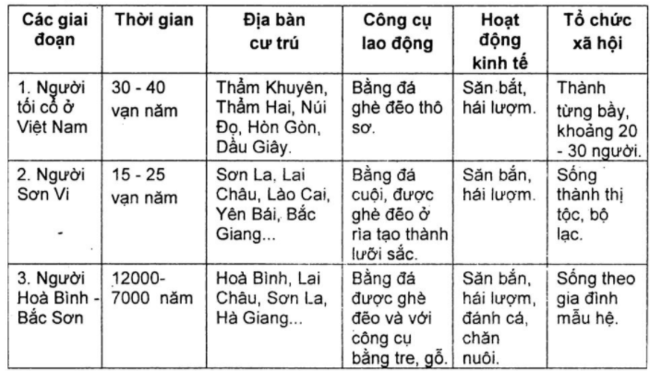 ã hội nguyên thủy Việt Nam trải qua những giai đoạn