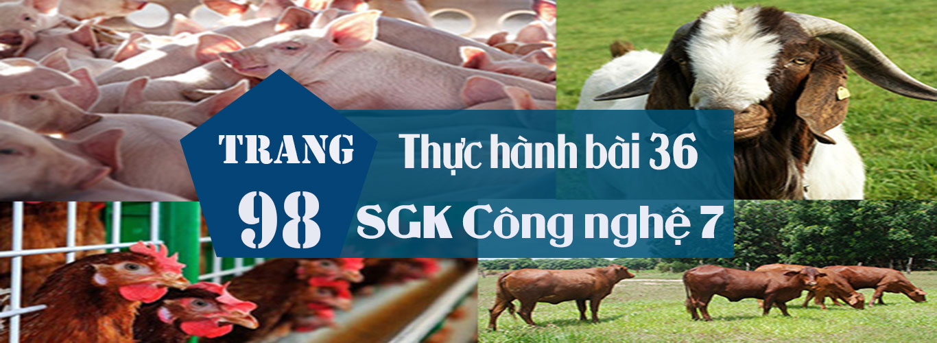 Thực hành bài 36 trang 98 SGK Công nghệ 7 | Giải bài tập ...