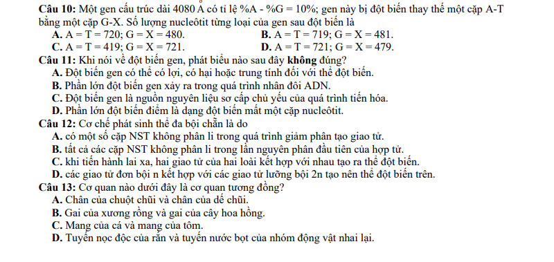 Đề thi thử tốt nghiệp THPT môn Sinh 2021 lần 2 trường Quảng Xương 1 trang 2