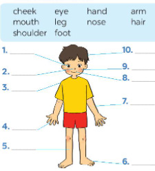Unit 3 Label the body parts with the words in the box