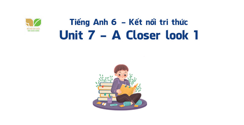 tiếng anh lớp 6 unit 7 television a closer look 1