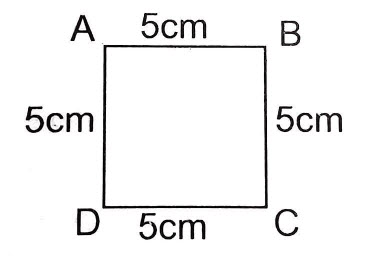 Bài 4.23 trang 96 Toán lớp 6 Tập 1 (Kết nối tri thức): Vẽ hình vuông cạnh 5 cm