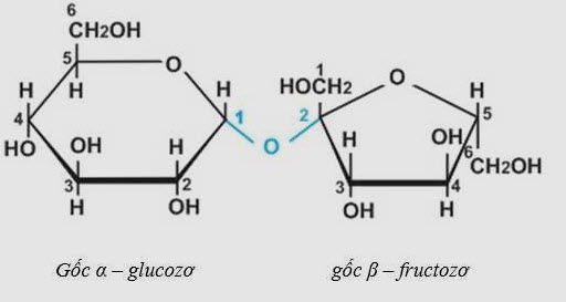 Gốc glucozơ và gốc fructozơ trong phân tử saccarozơ liên kết với nhau qua nguyên tử oxi
