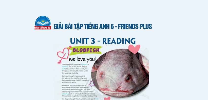 Giải Unit 3 Reading Tiếng Anh 6 Chân trời sáng tạo Friends Plus