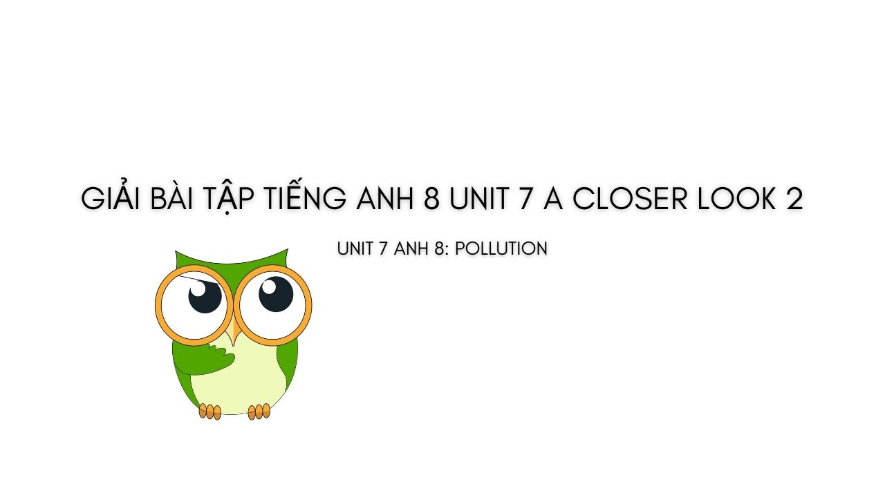 giải a closer look 2 unit 4 lớp 8