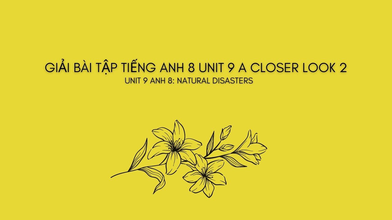 giải tiếng anh lớp 8 unit 9 a closer look 2