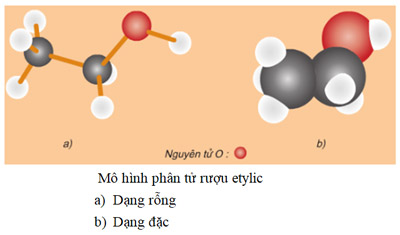 Cấu tạo phân tử của rượu Etylic