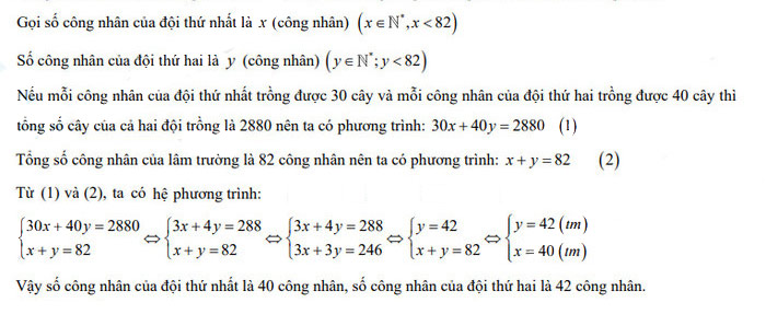 Đáp án đề thi tuyển sinh lớp 10 năm 2022 môn Toán Ninh Thuận câu 3