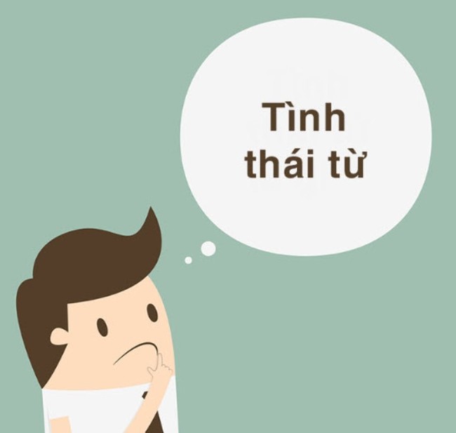 câu nào dưới đây không sử dụng tình thái từ