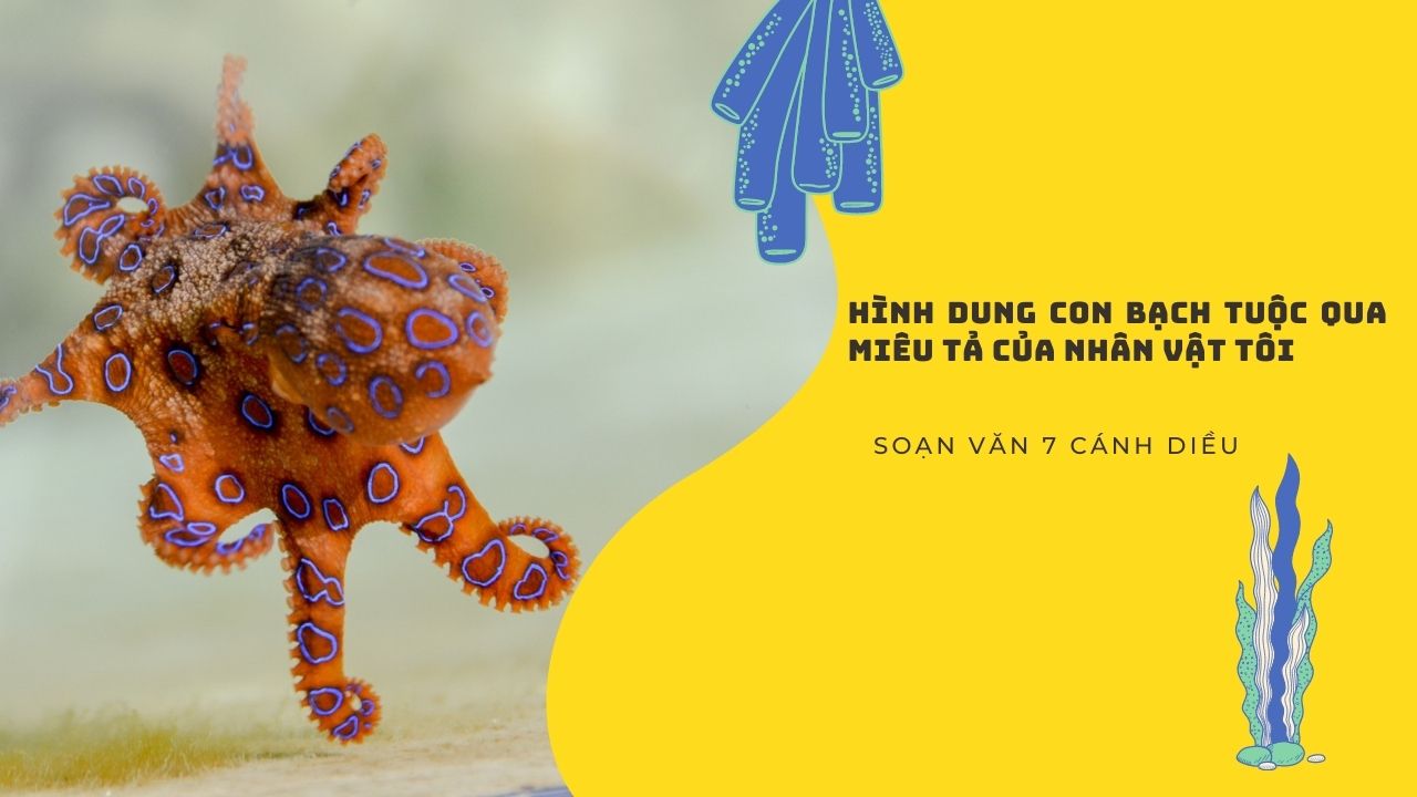 Áo cộc tay in hình bạch tuộc - Kidsplaza.vn