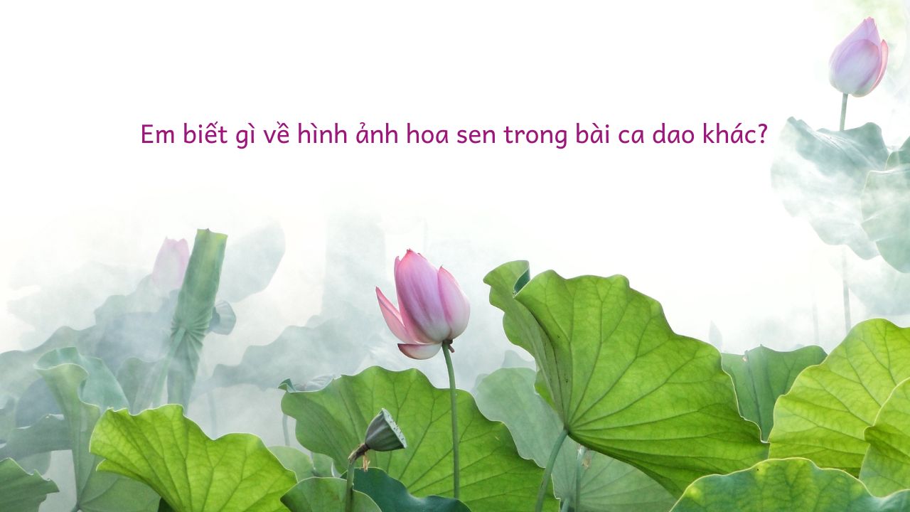 Hình ảnh hoa sen trong bài ca dao là một phần không thể thiếu trong văn hoá Việt Nam. Nghệ thuật của những bức tranh này đem lại cho chúng ta một cái nhìn về sự tinh tế và thanh bình của hoa sen. Hãy tìm hiểu thêm về hoa sen qua những hình ảnh trong bài ca dao để có thể hiểu rõ hơn về giá trị văn hóa của Việt Nam.