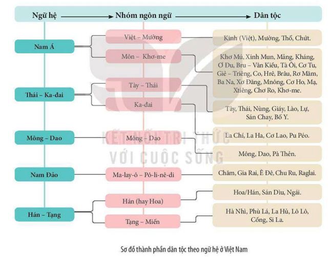 sơ đồ các ngữ hệ và nhóm ngôn ngữ ở Việt Nam
