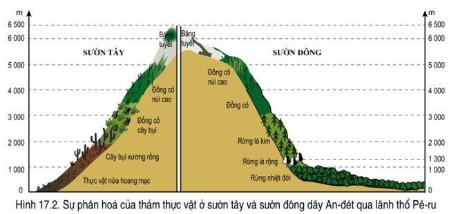 Soạn Bài 17 Địa 7 Cánh Diều hình 17.2