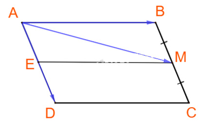 Bai 4.11 trang 58 sgk toan 10 tap 1 Ket noi tri thuc hinh 1